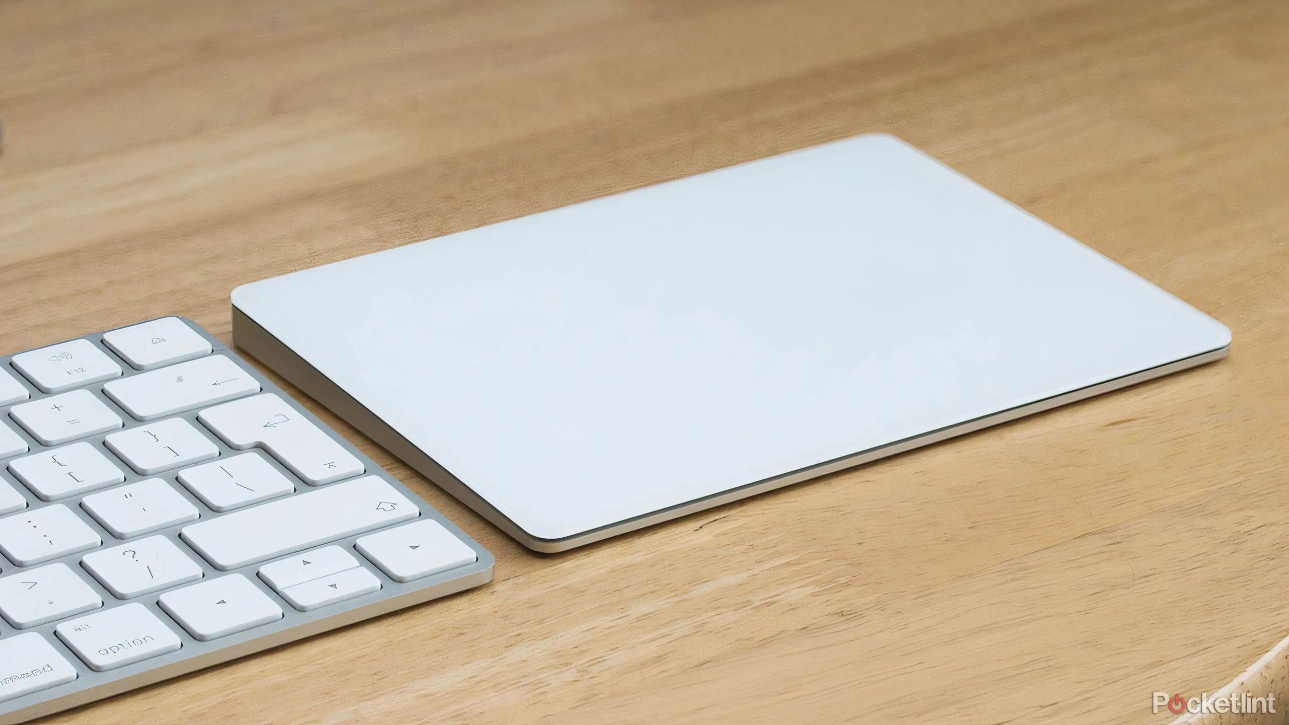 Một chiếc Apple Magic Trackpad 2 và Magic Keyboard trên bàn làm việc.